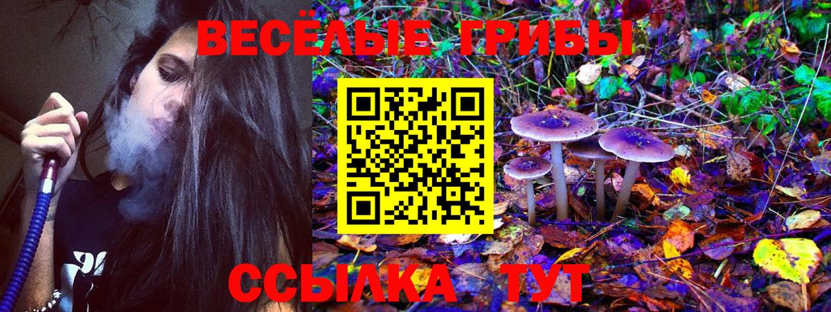 Псилоцибиновые грибы ЛСД  Галлюциногенные грибы Psilocybe  Тулун  Вход с VPN 